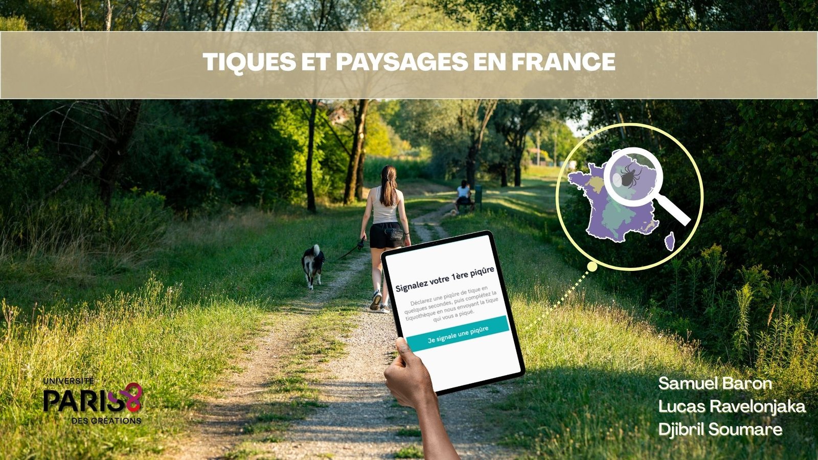 Tiques et paysages